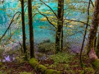 Impression am Seeufer des Obersee